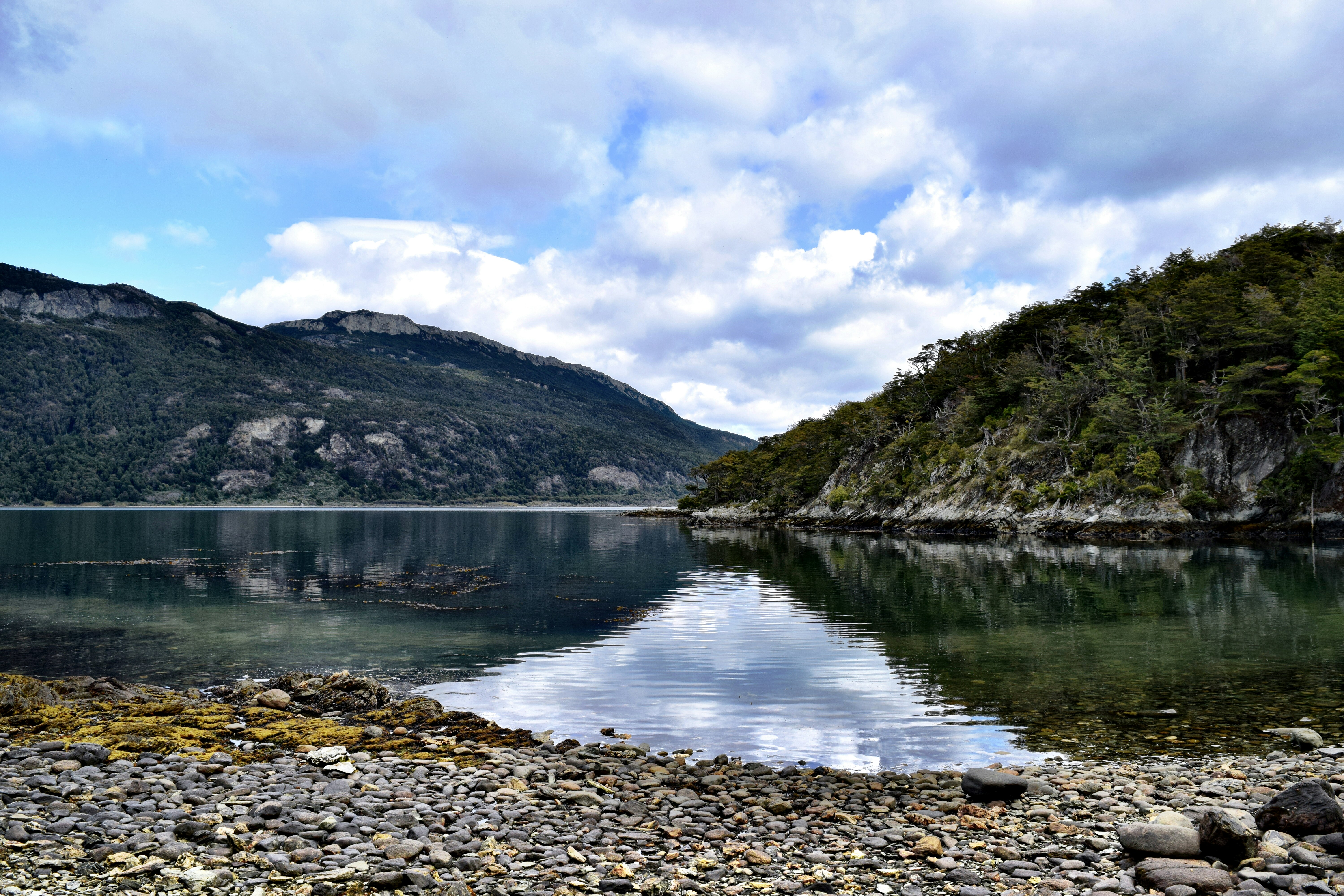 Photo by notengojotas