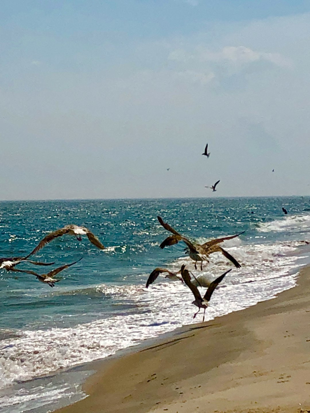 Beach photo spot Jones Beach Raritan Bay