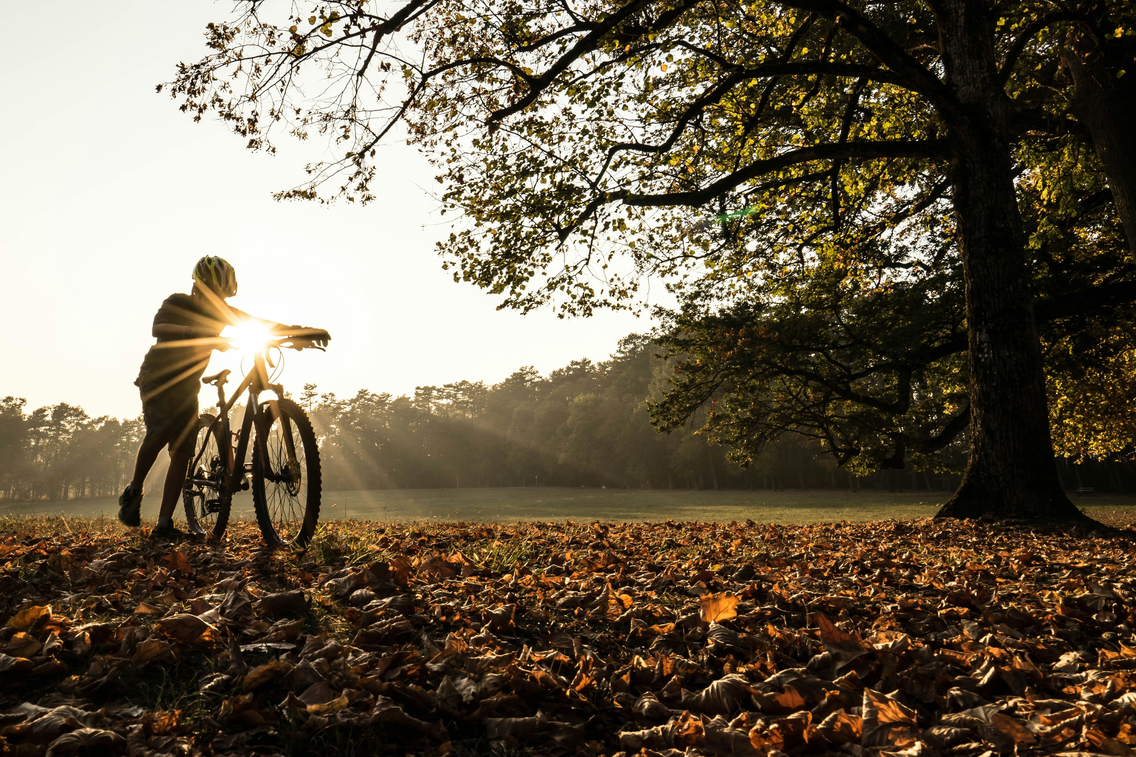 Photo by kbendakhlia