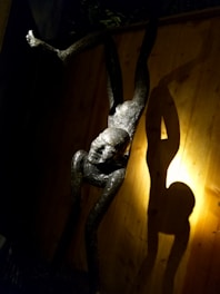 A sculpture of a human figure in an unusual pose, supported against a wooden backdrop. The sculpture is lit dramatically from one side, casting a distinct shadow on the wall, creating an intriguing visual effect.