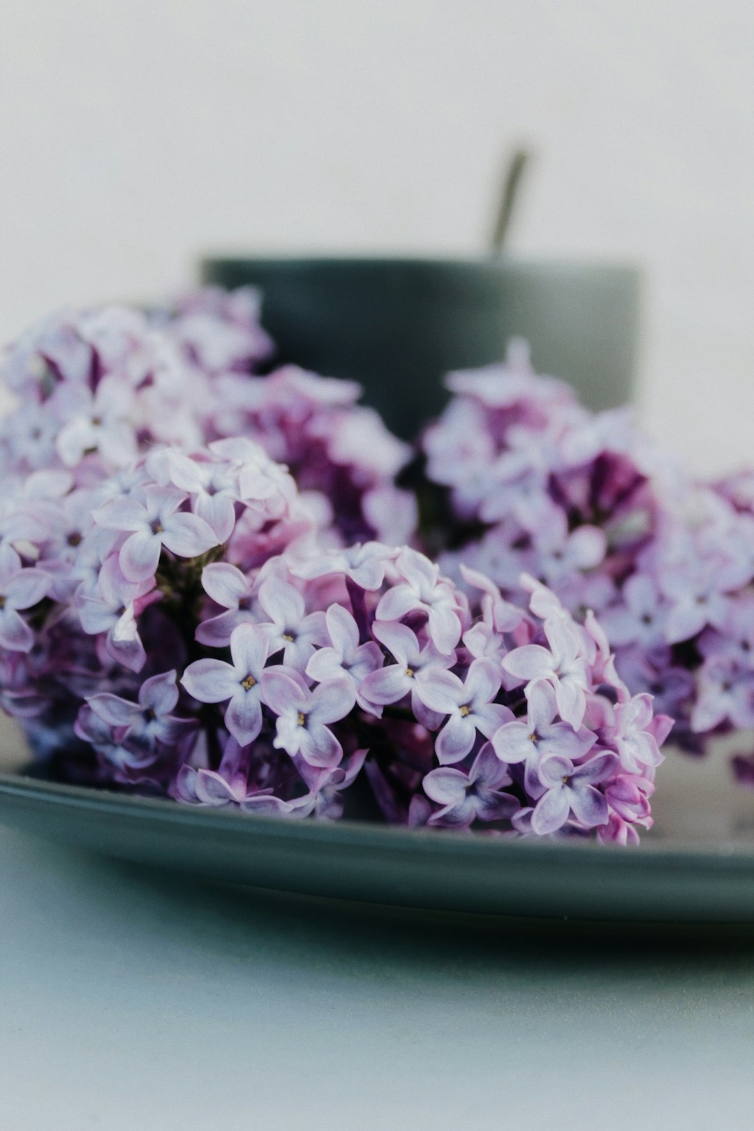 pink flowers on green ceramic bowl