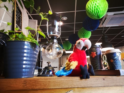 A colorful parrot plush toy sits on a wooden surface next to a blue plant pot and a glass coffee siphon. Above the table, paper decorations in shades of green and blue hang from the ceiling. There are also paper cups with floral designs on the surface.
