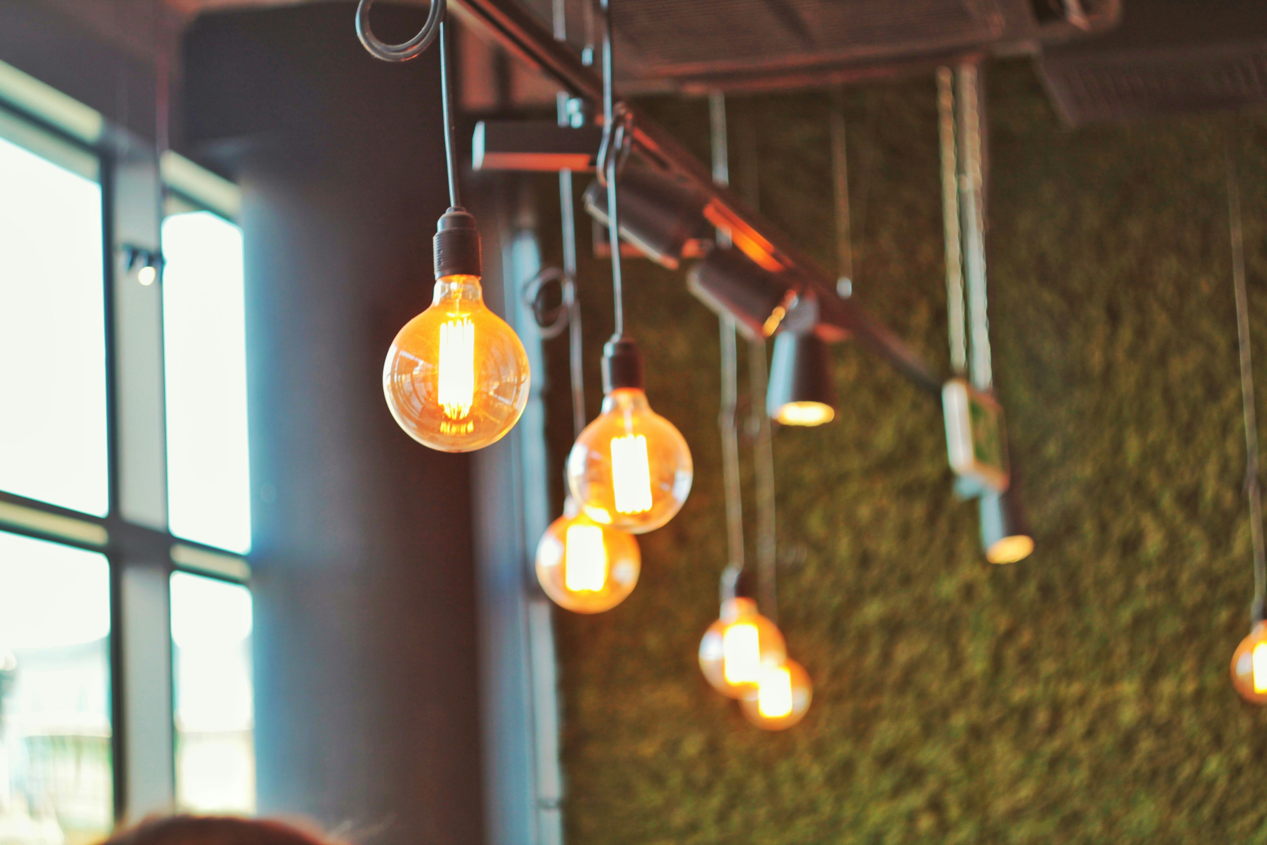 Photo by knuckles_echidna