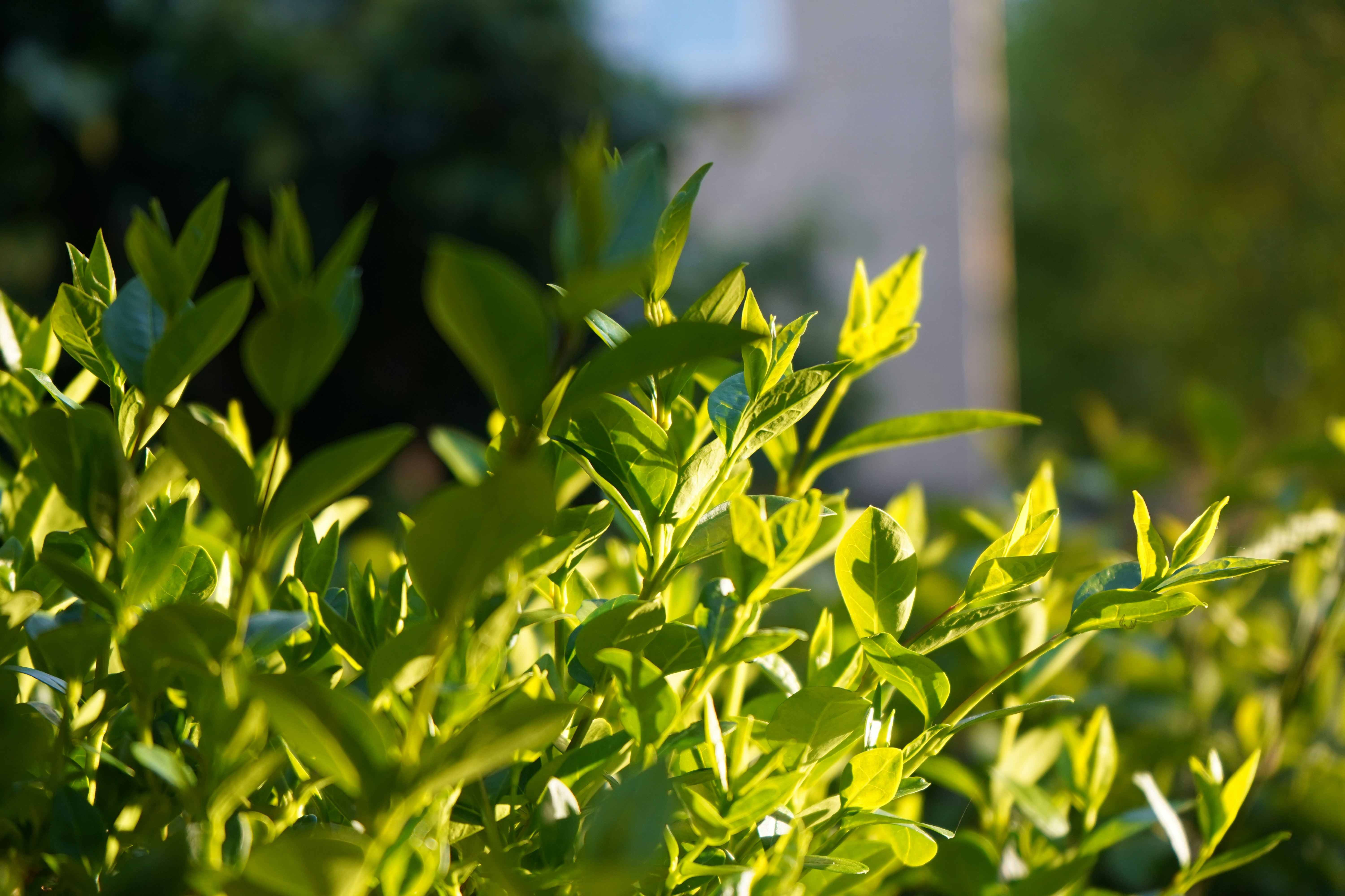 Photo by jamesfrewin