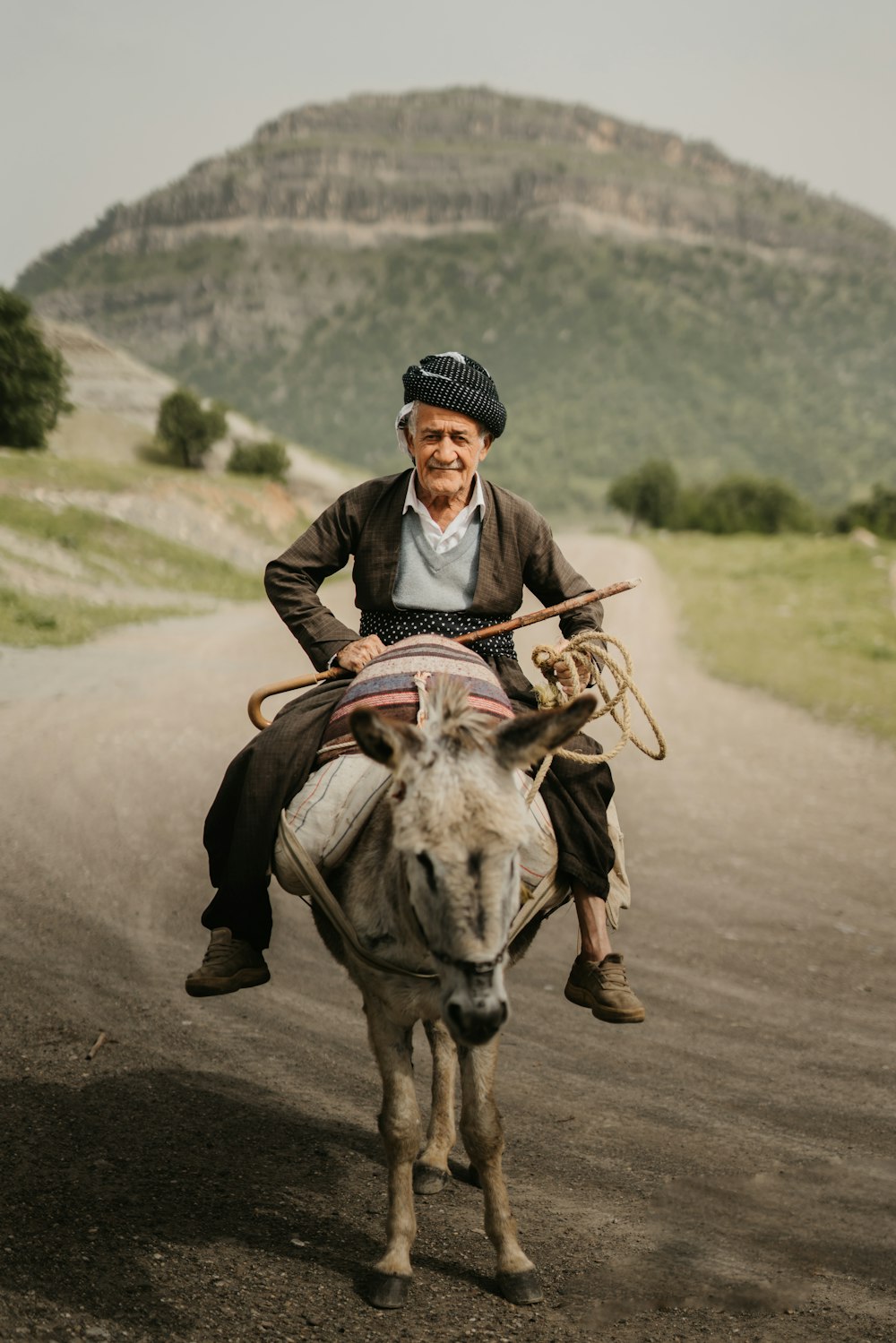 man riding on white horse on road during daytime