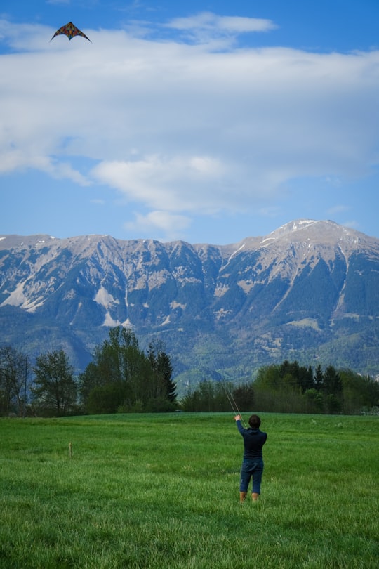 green trees and grass field near mountain during daytime in Bled island Slovenia