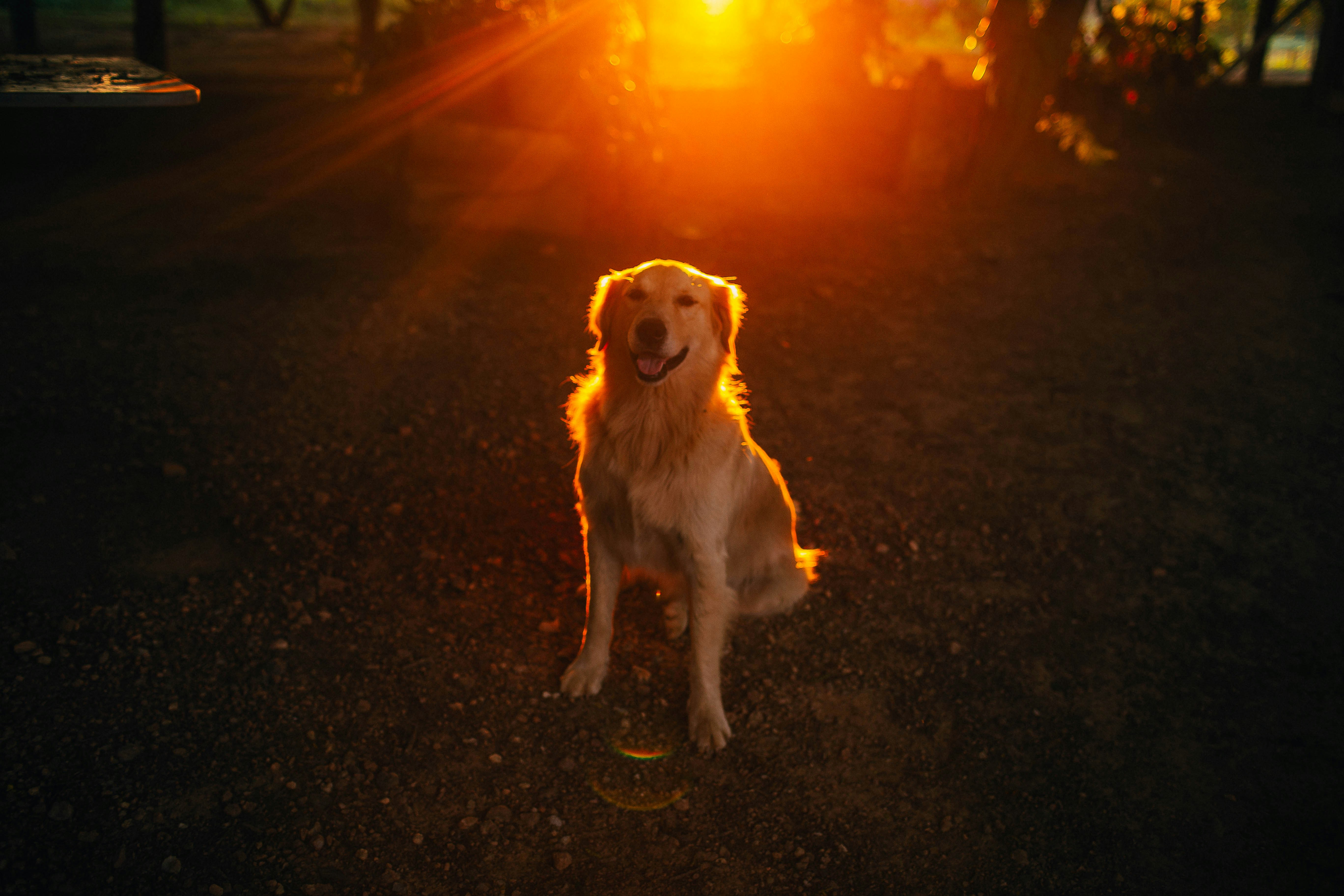 Photo by helenalopesph