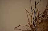 A tightly woven straw pattern with straw fibers of various lengths and colors extending outward. The background is a plain beige color, creating a minimalist and earthy aesthetic.