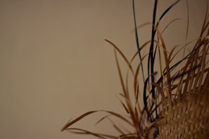 A tightly woven straw pattern with straw fibers of various lengths and colors extending outward. The background is a plain beige color, creating a minimalist and earthy aesthetic.