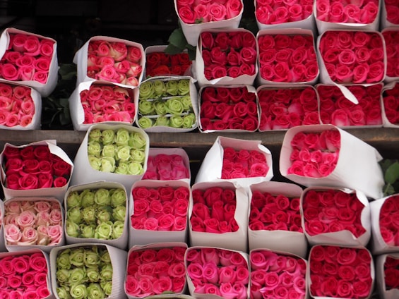 Bundles of roses neatly arranged in paper wraps, featuring shades of red, pink, and greenish-white roses. The roses are tightly packed and displayed in a symmetrical pattern, creating a vibrant and colorful floral display.