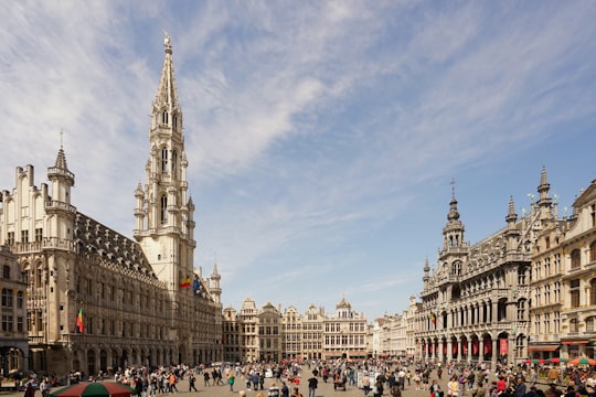 people walking on street near white concrete building during daytime in Grand Place Belgium
