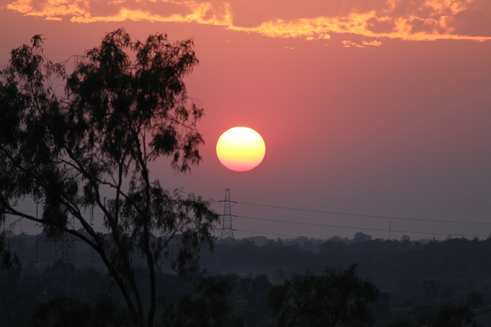 green trees under orange sky during sunset