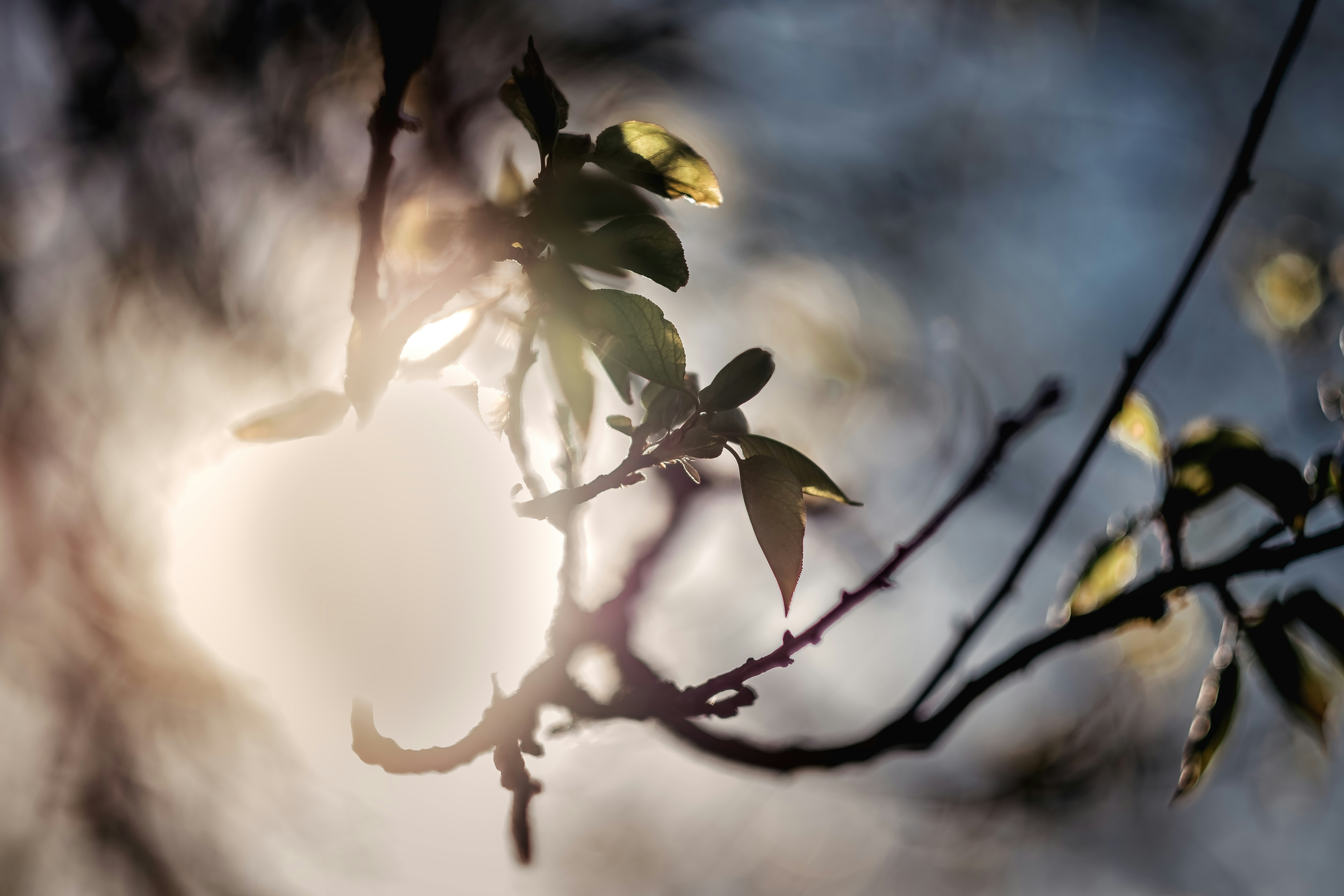 Photo by victoriapriessnitz