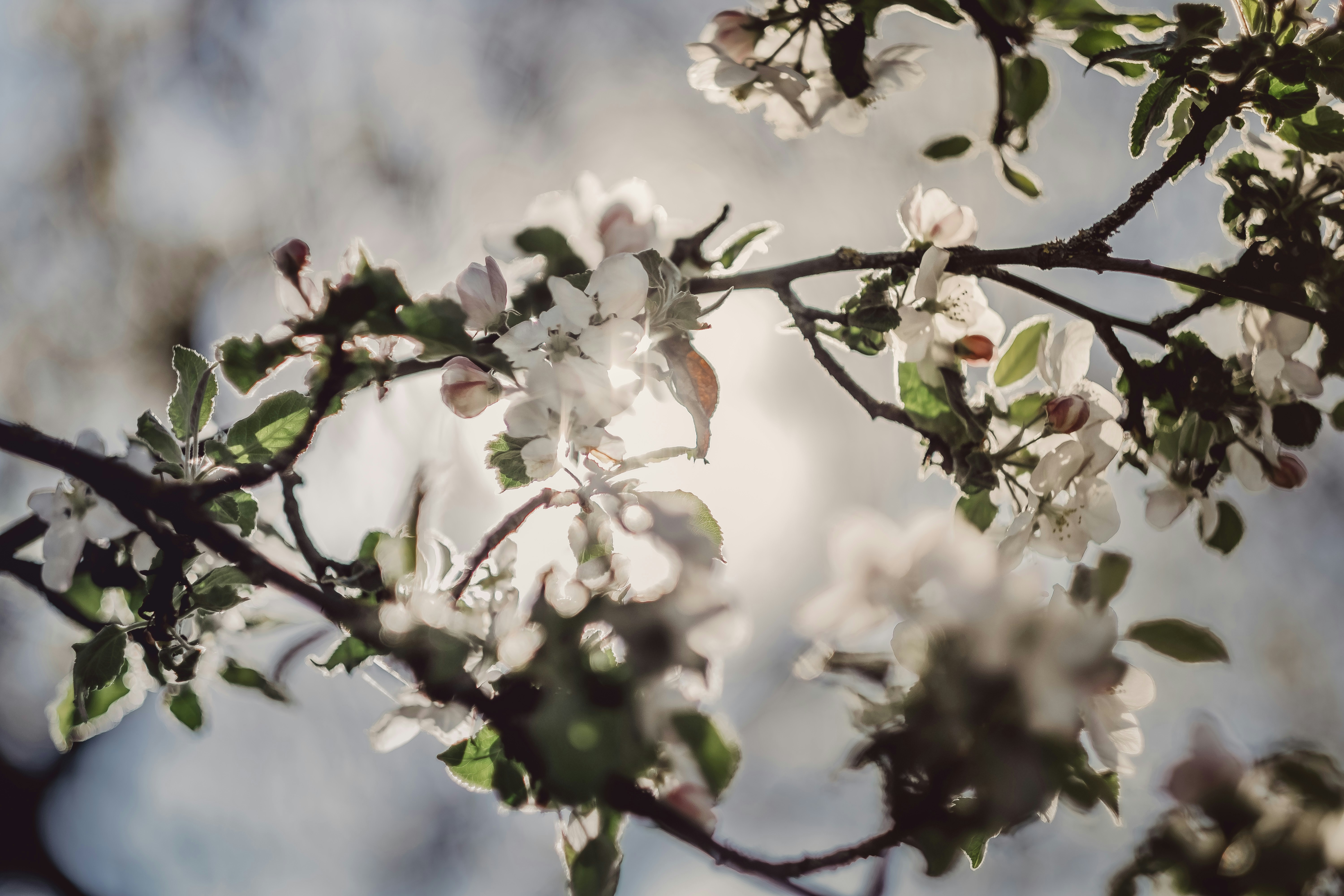 Photo by victoriapriessnitz