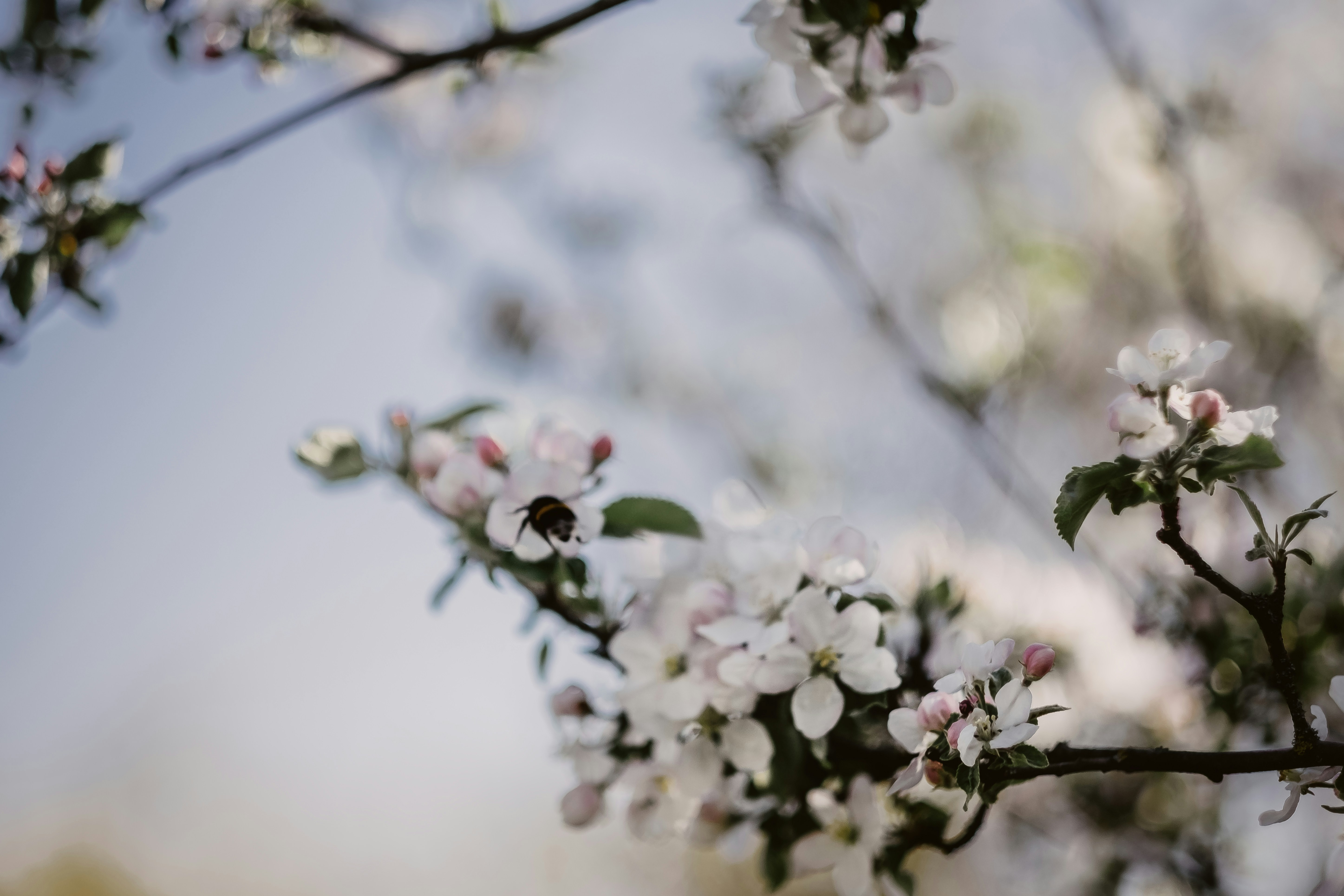 Photo by victoriapriessnitz