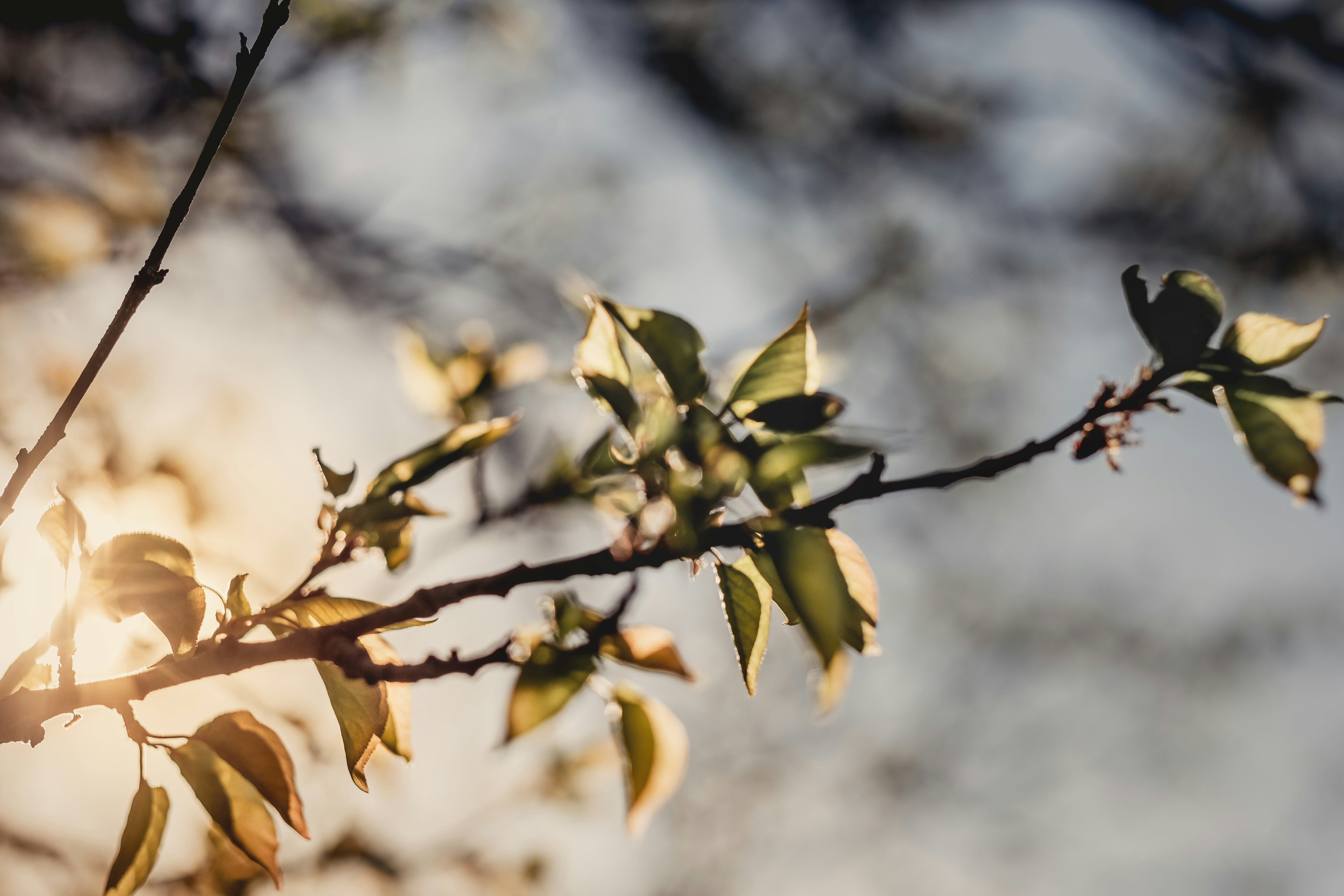 Photo by victoriapriessnitz