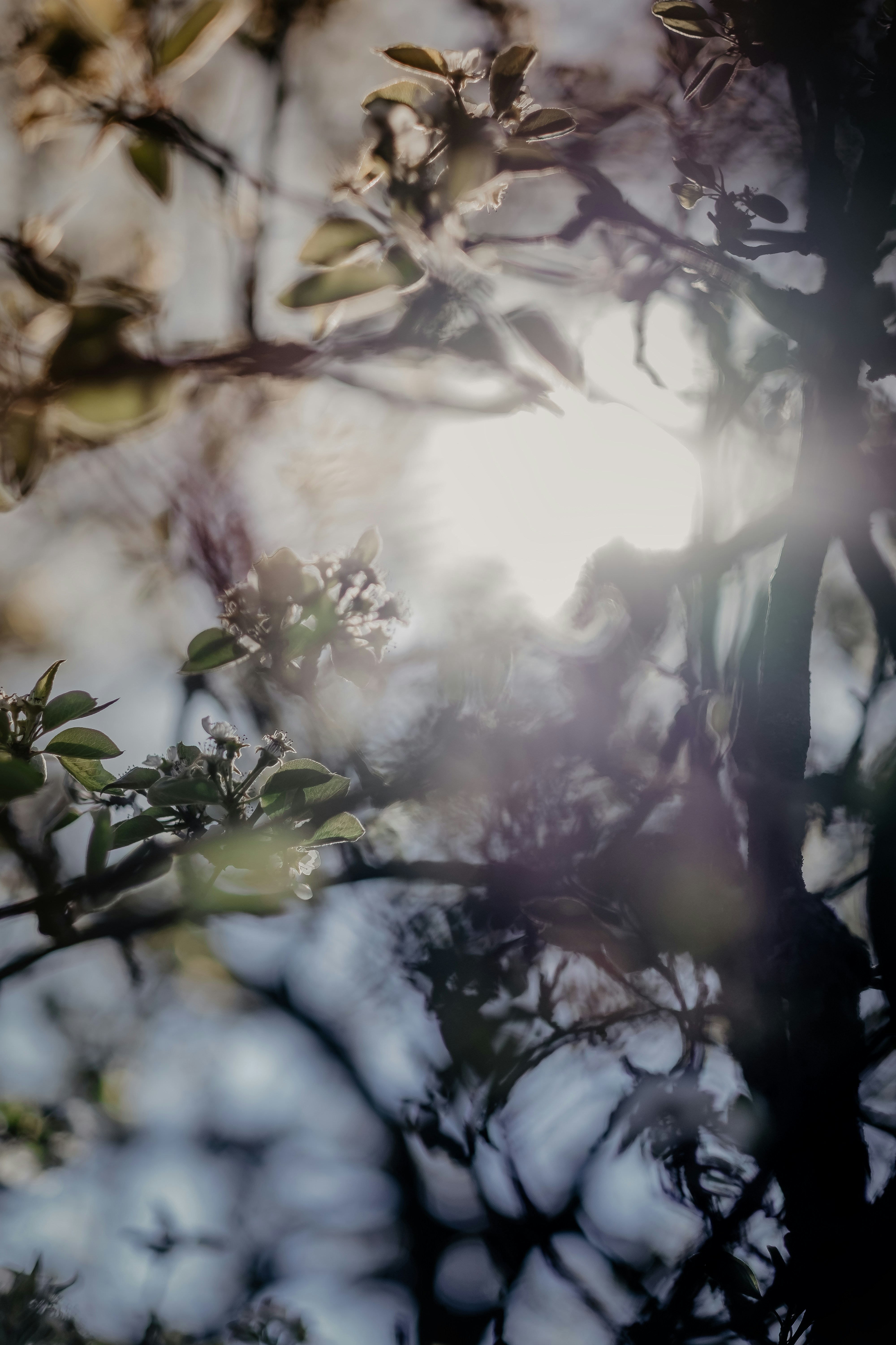 Photo by victoriapriessnitz