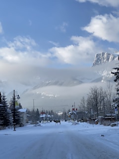 A snowy street in a small town with a mountainous backdrop. The road is covered in snow, and a few buildings and streetlamps line the street. Two elk walk across the street, surrounded by snow-covered trees. Cloudy skies partially obscure the mountains in the background.