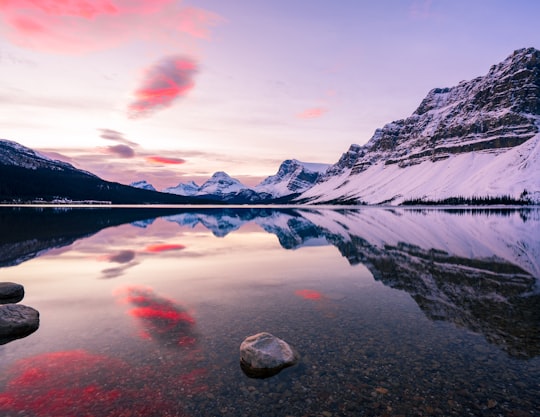 snow covered mountain near lake during daytime in Bow Lake Canada