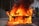 A car engulfed in intense flames on the side of a road with thick black smoke billowing into the air. Firefighters and a fire truck are visible in the background, indicating an emergency response situation.