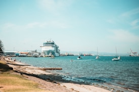A large cruise ship is docked near a harbor, with several smaller boats and yachts in the nearby water. There are people walking along a sandy shoreline with some grassy patches. Industrial cranes and buildings are visible in the background, indicating a port area. The sky is clear with minimal cloud cover.