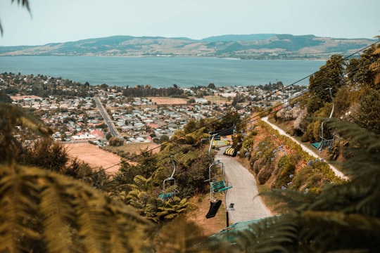 aerial view of city buildings during daytime in Ngongotaha New Zealand