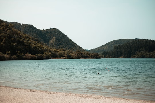 green and brown mountain beside body of water during daytime in Lake Tikitapu (Blue Lake) New Zealand