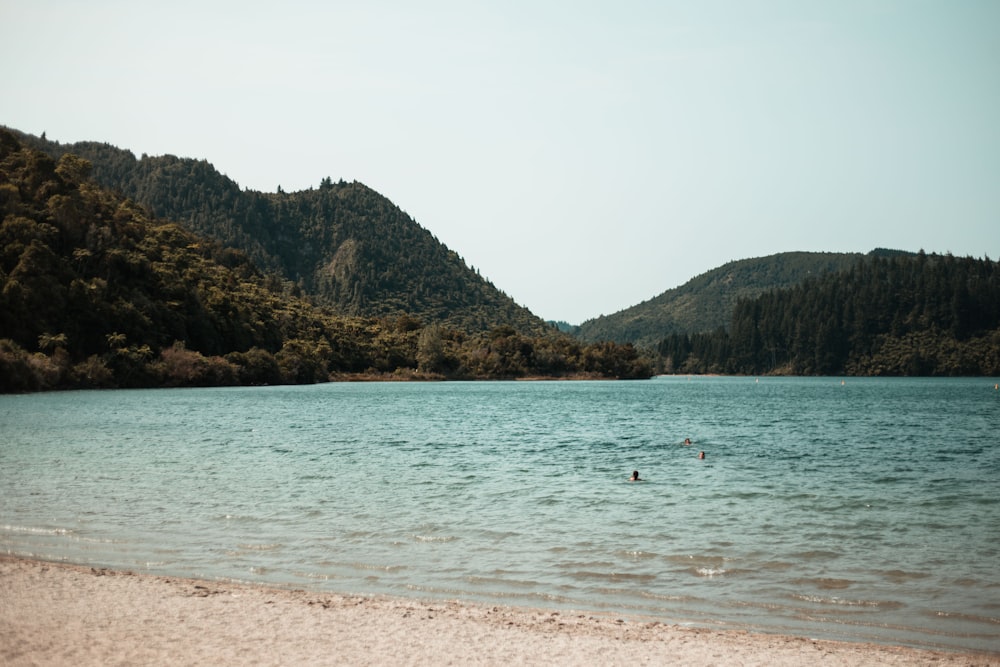 montanha verde e marrom ao lado do corpo de água durante o dia