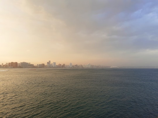 city skyline under white sky during daytime in uShaka Marine World South Africa