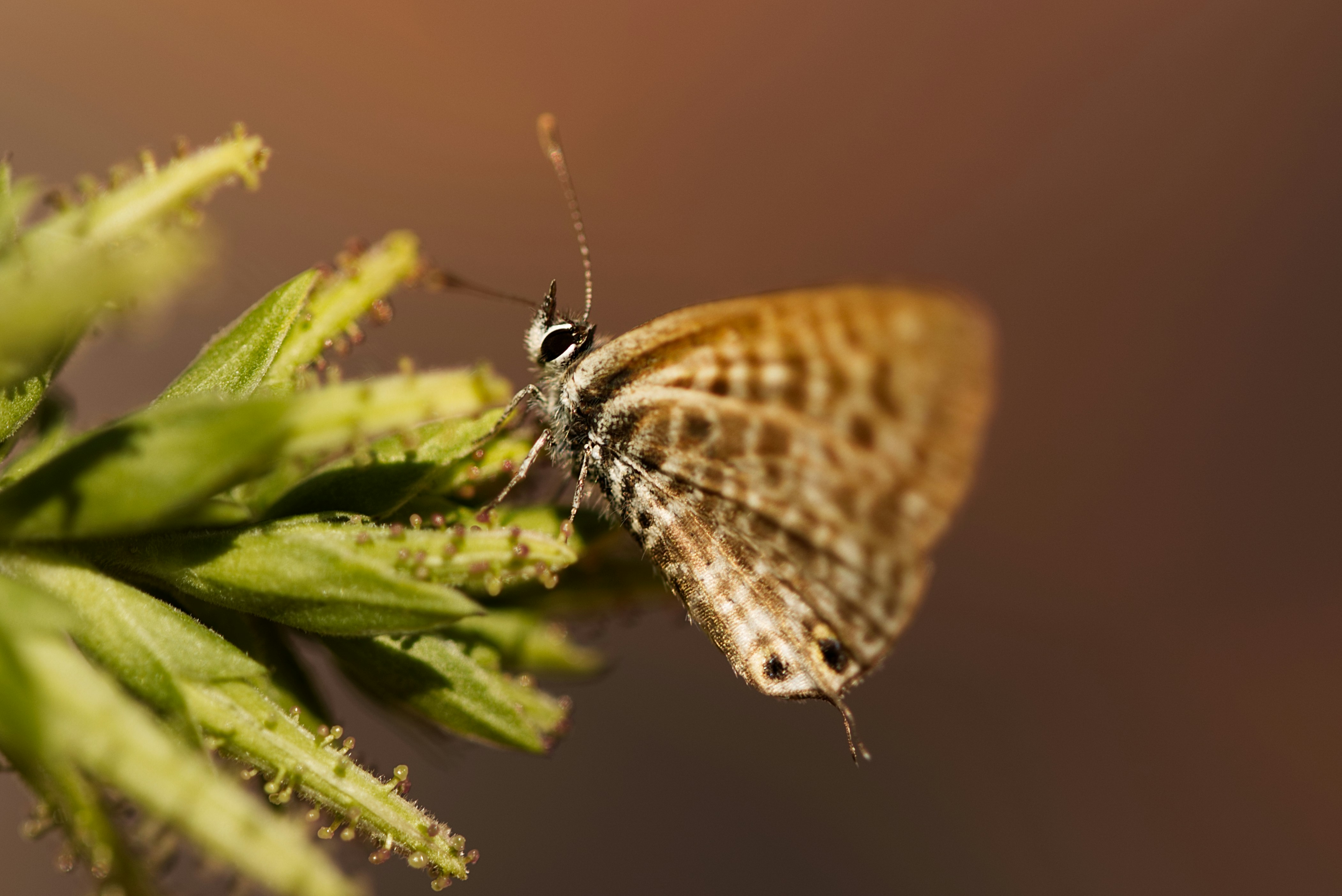 Photo by t_borozdin_photography