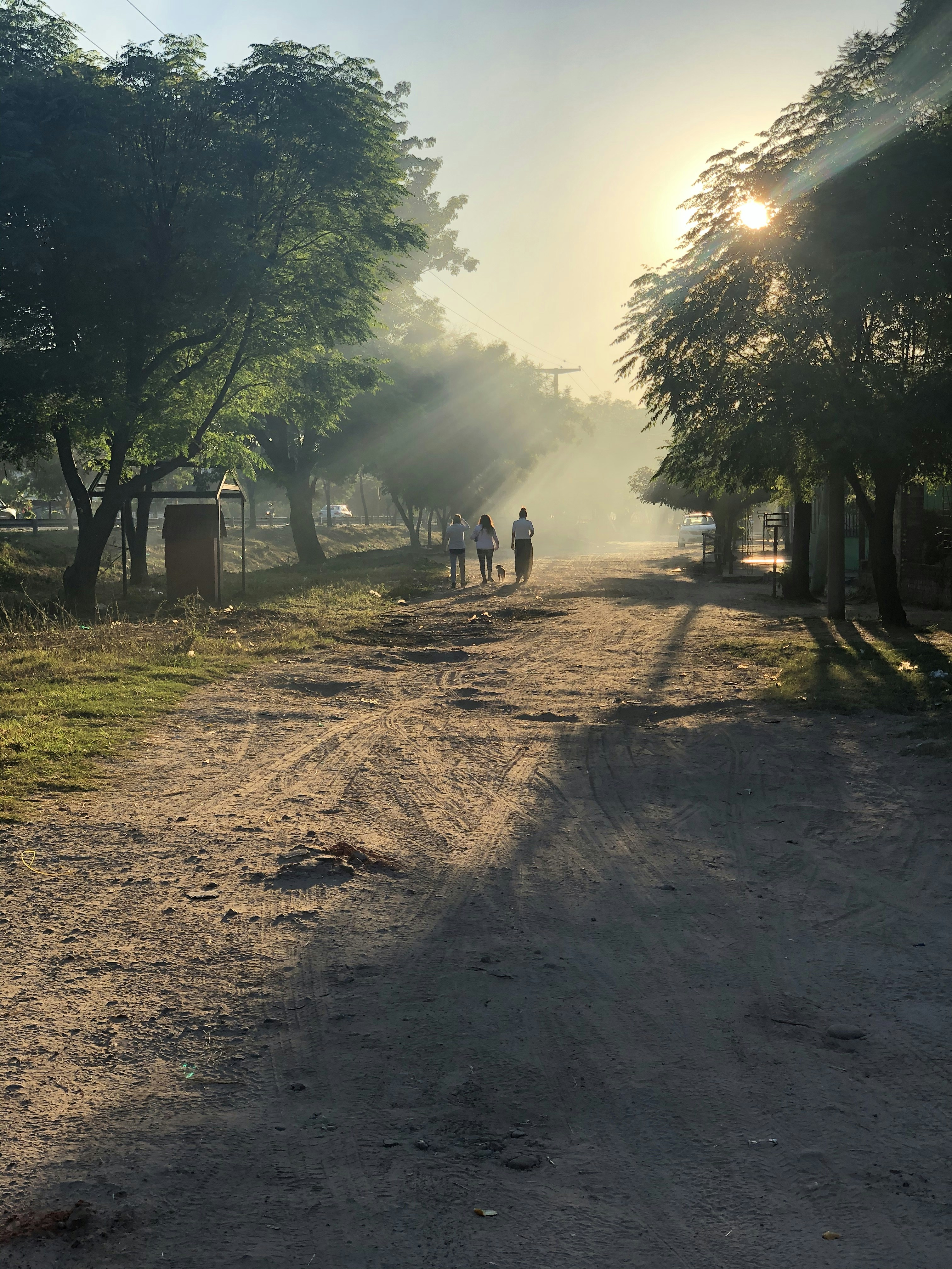 Photo by sunshinestudio82