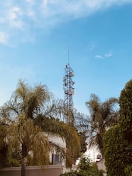 green palm trees under blue sky during daytime