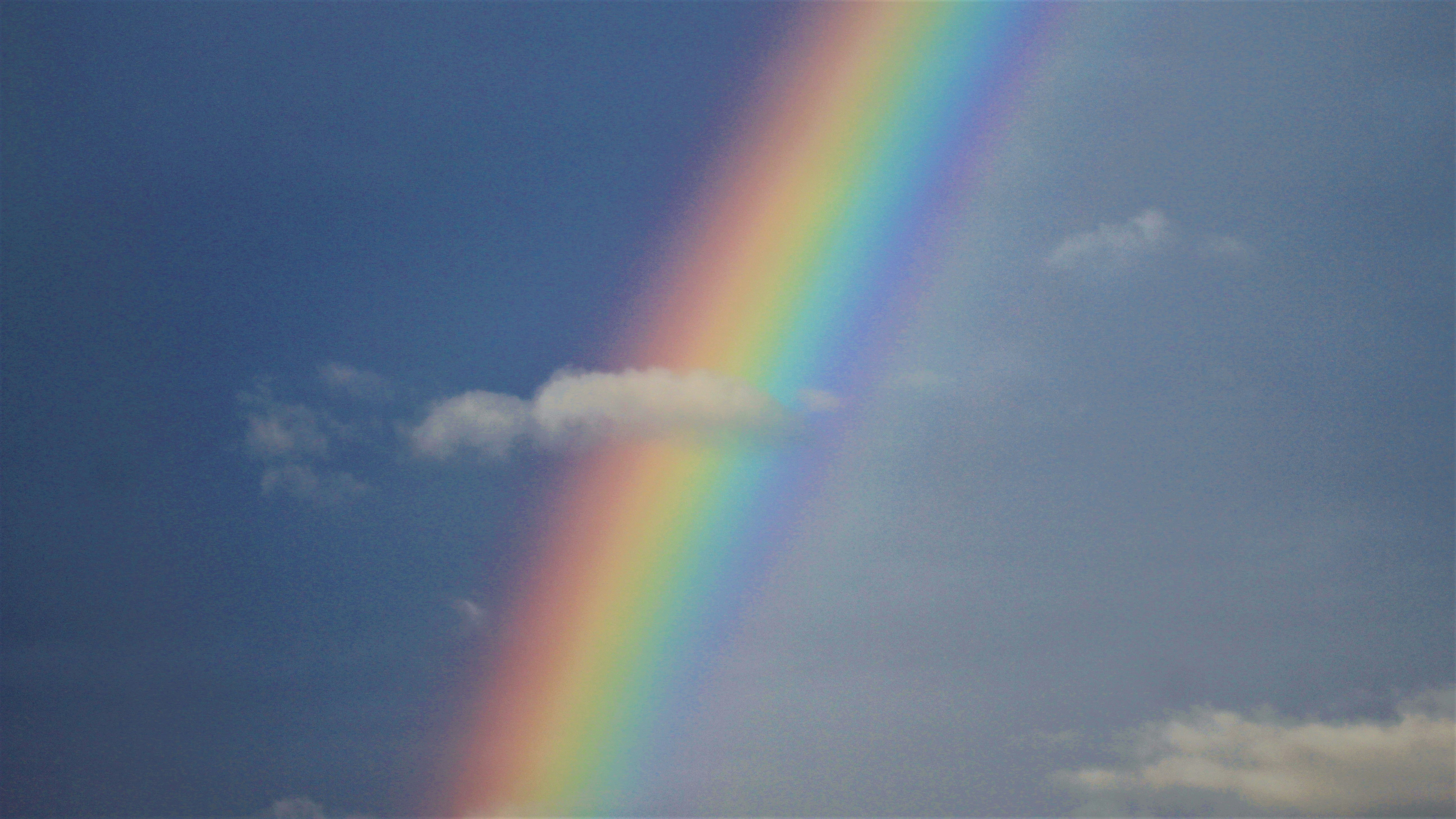 Photo by martin_dav1d