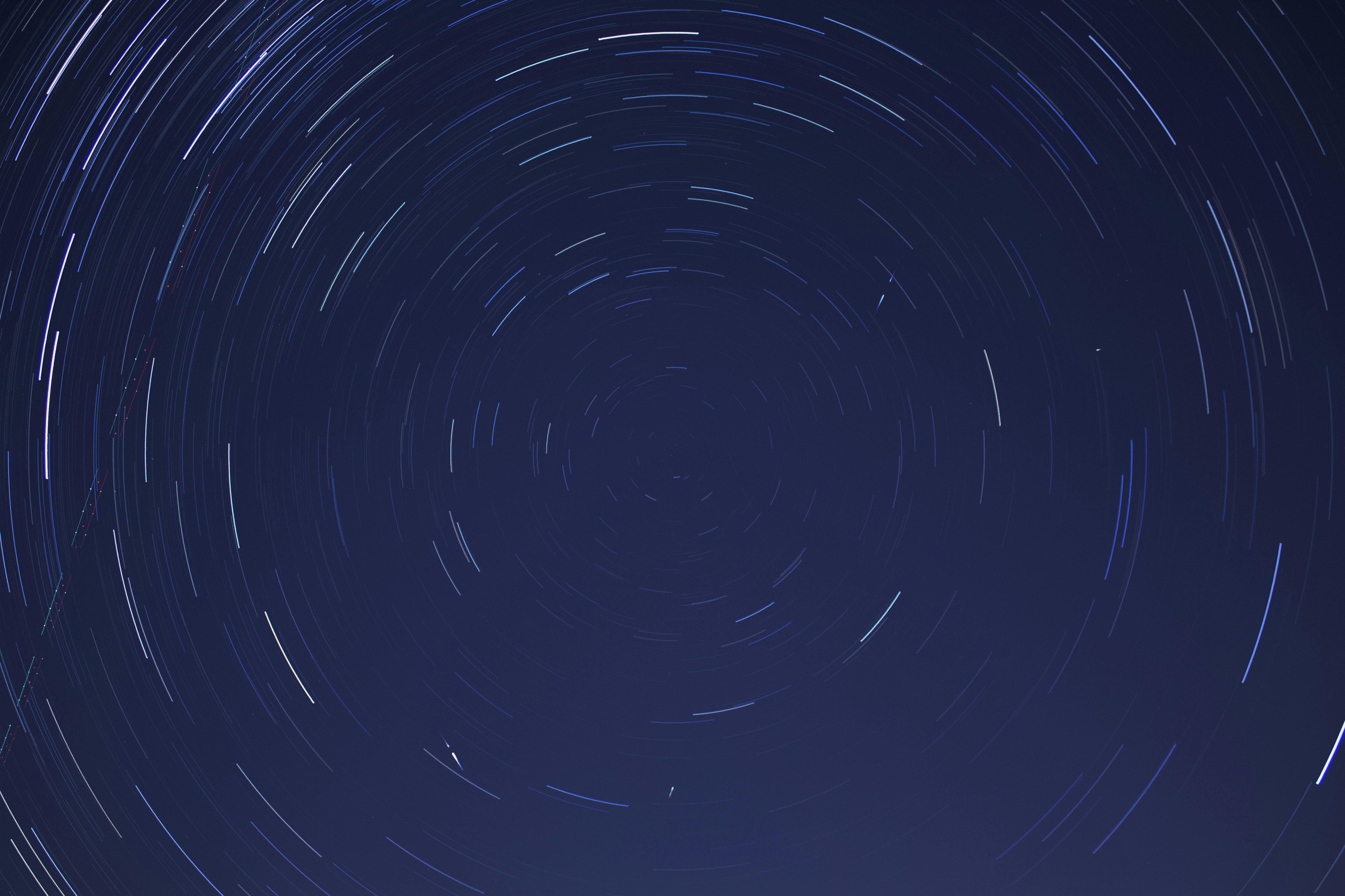 Photo by martin_dav1d