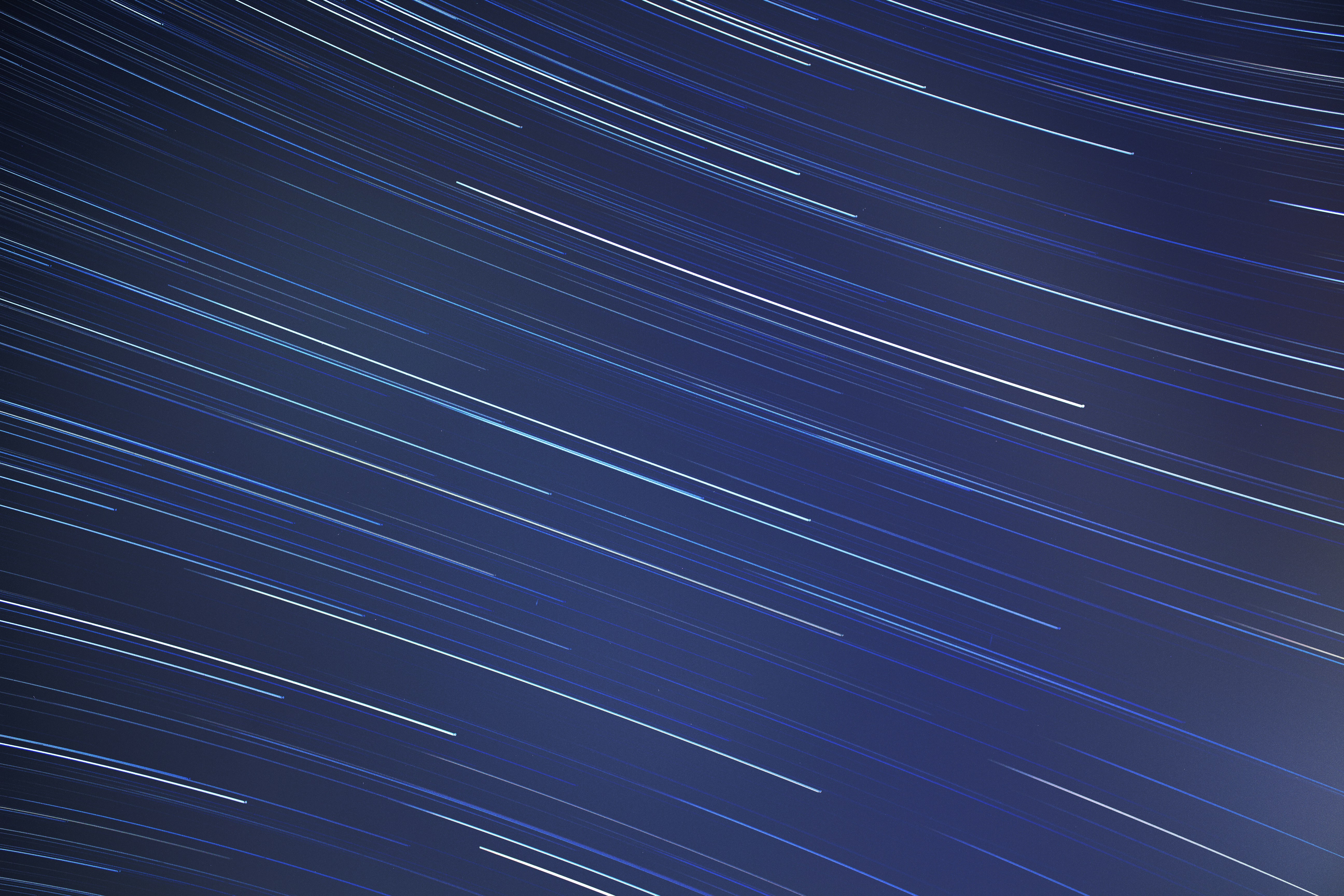 Photo by martin_dav1d