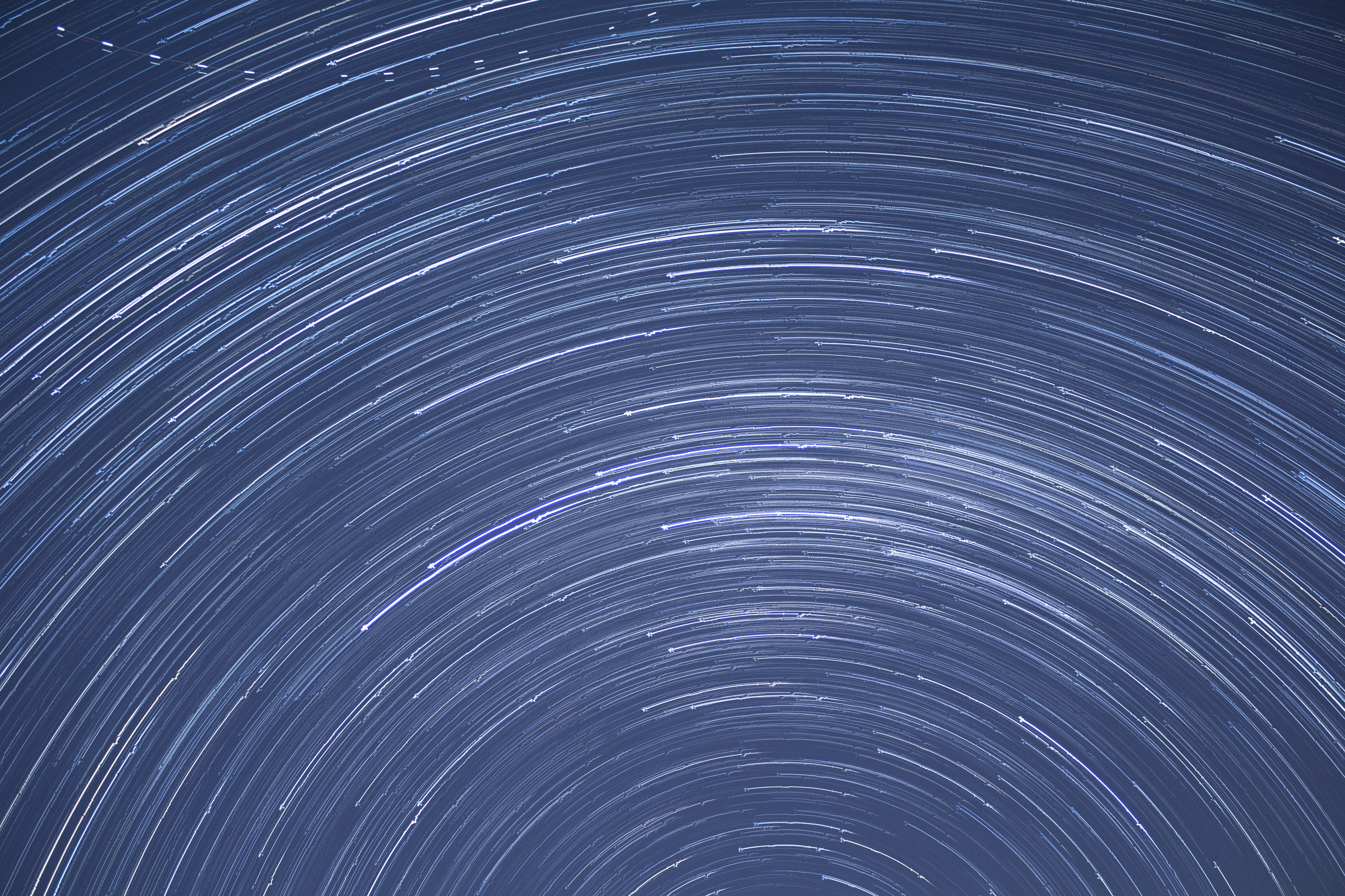 Photo by martin_dav1d