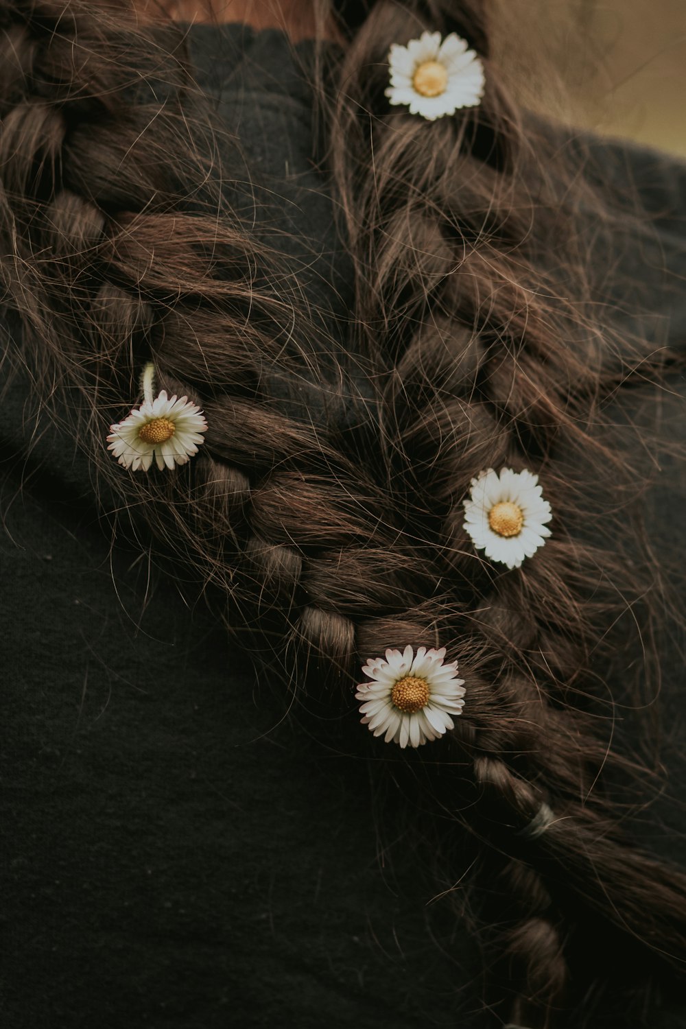 white daisy on black textile