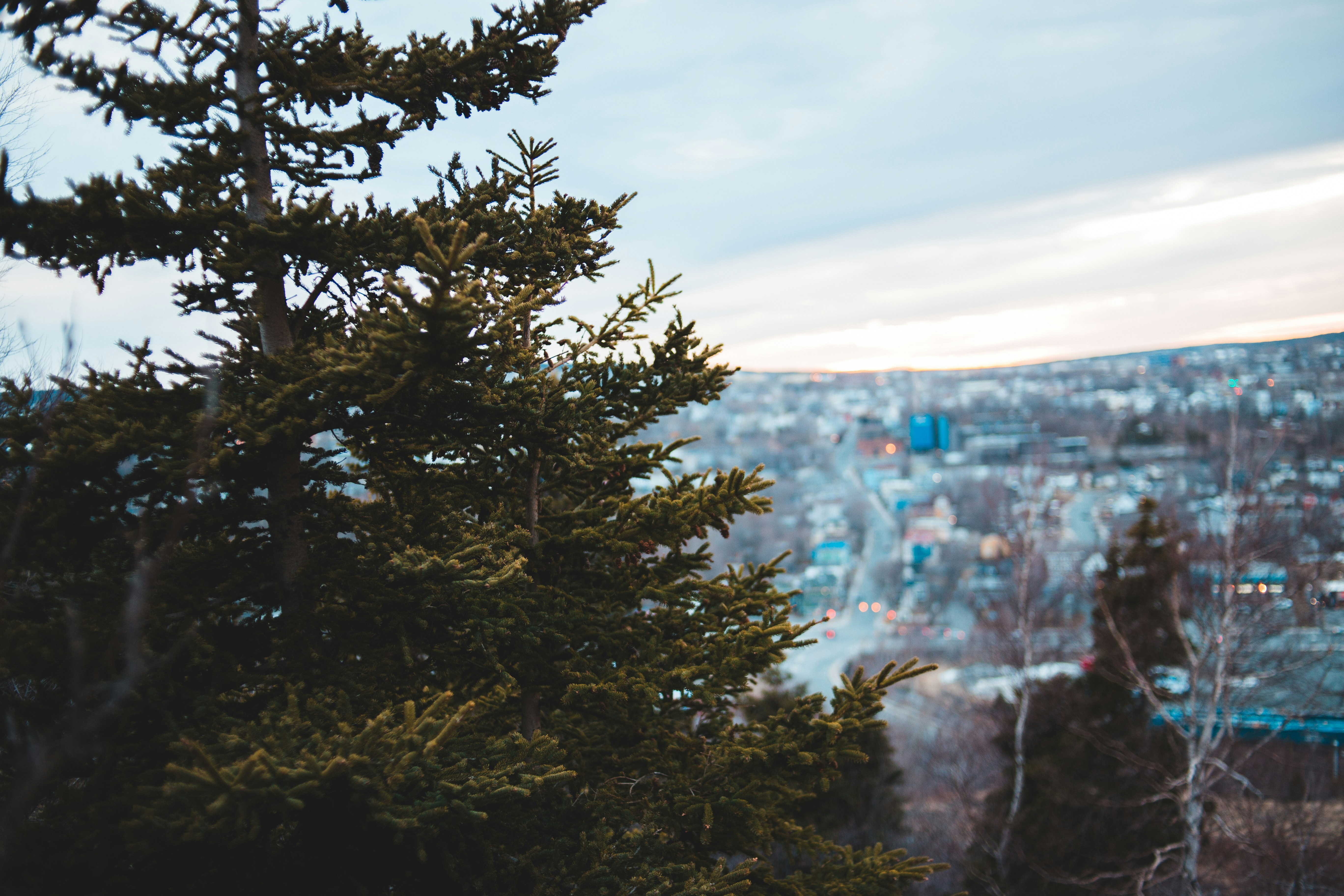 Photo by introspectivedsgn