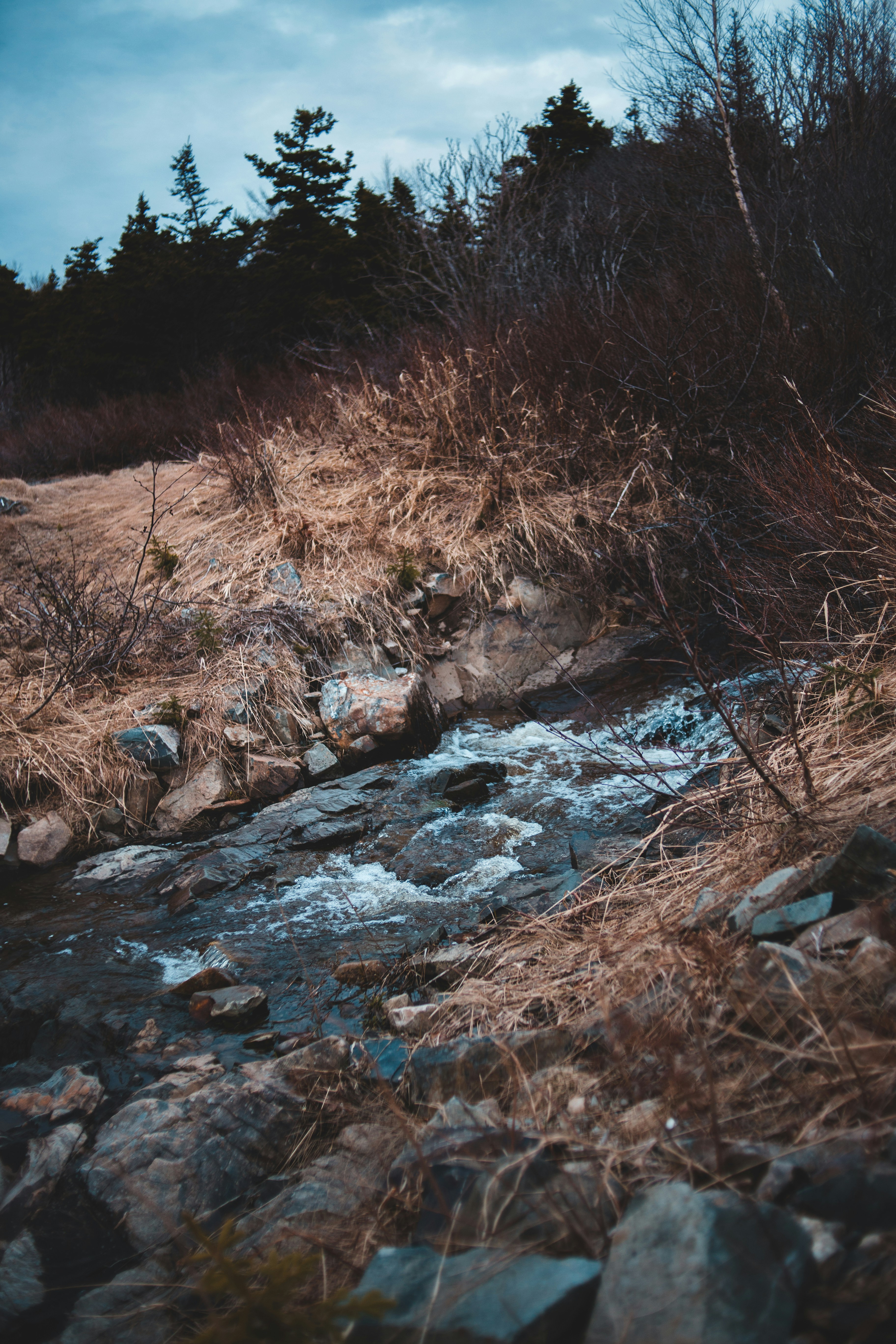 Photo by introspectivedsgn