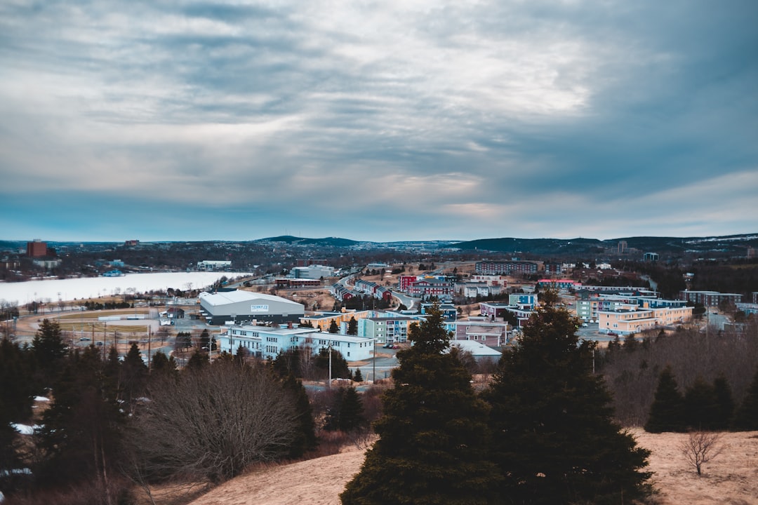 white and brown concrete buildings near green trees under white clouds during daytime