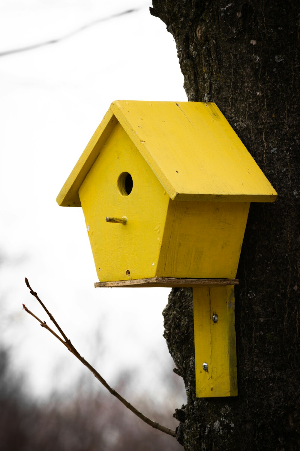 Casita para pájaros de madera amarilla y marrón