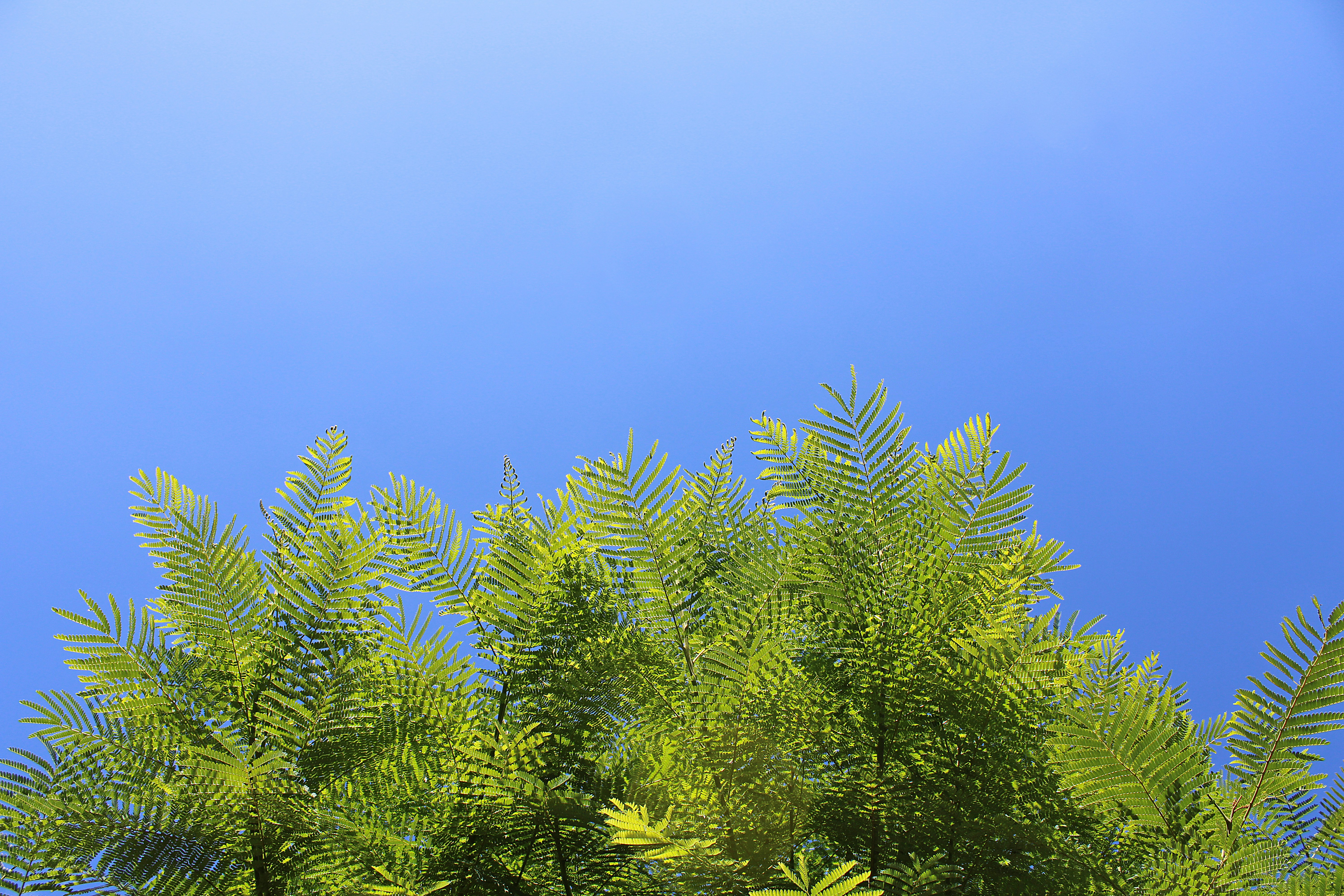 Photo by luizfelipebh