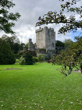 A historic stone castle stands prominently amidst green lawns and trees. The castle features a tall tower and ancient walls, surrounded by lush vegetation. Overcast skies cast a subdued light over the scene.