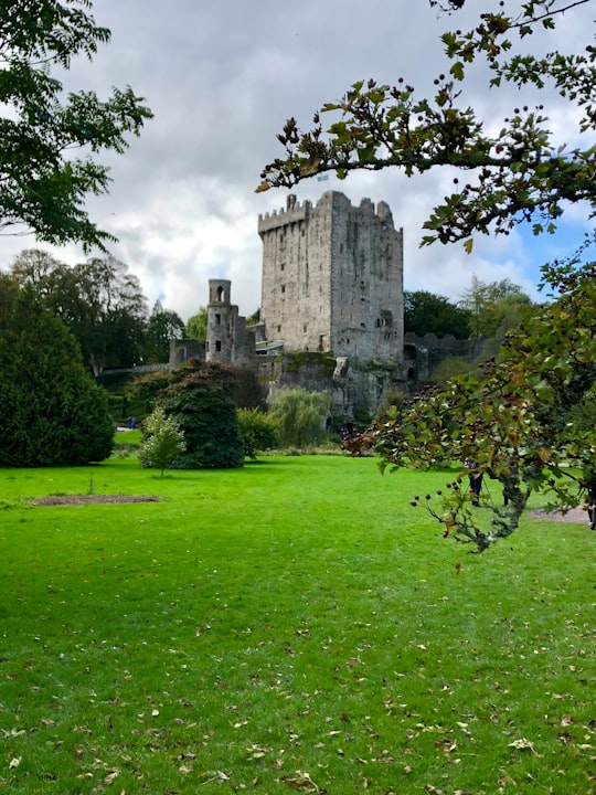 green grass field near gray concrete building under white clouds and blue sky during daytime in Blarney Stone Ireland