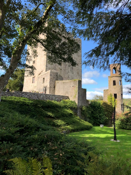 brown concrete building near green grass field during daytime in Blarney Stone Ireland