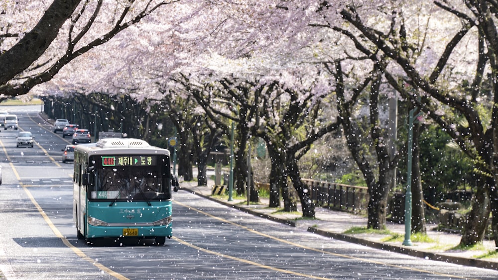 blue and white bus on road near trees during daytime