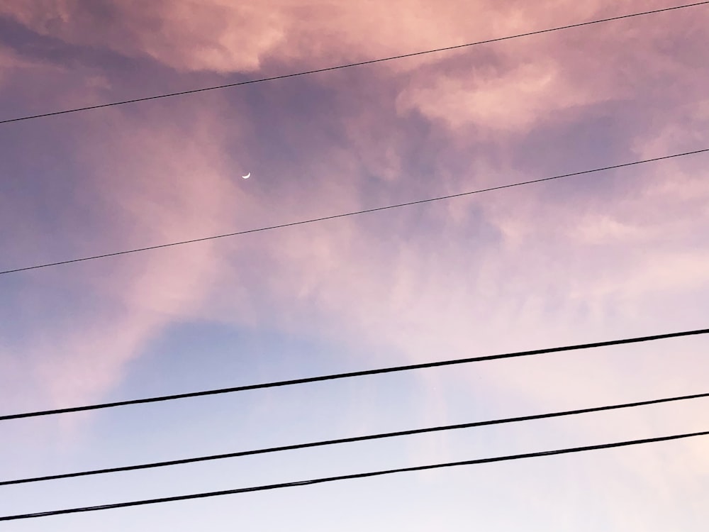 black electric wires under gray cloudy sky