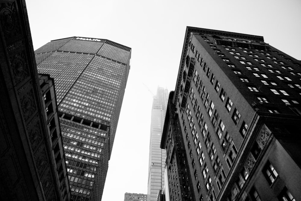 grayscale photo of high rise buildings