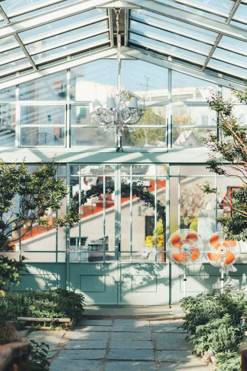 green plants in front of glass window