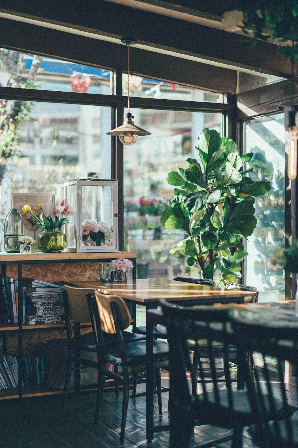 green plant on brown wooden table